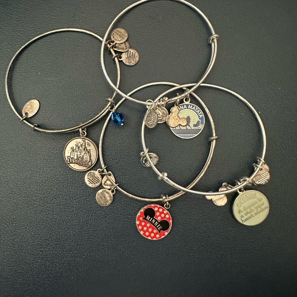 Alex and Ani Silver Charm Bracelet Collection
